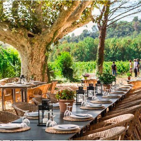 Domaine Regis Freres Bed & Breakfast Vidauban Dış mekan fotoğraf
